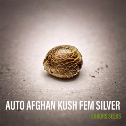 Auto Afghan Kush Feminizada Plata